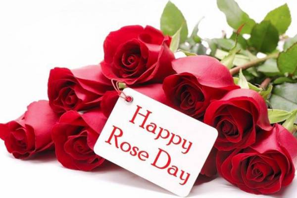 Happy Rose day