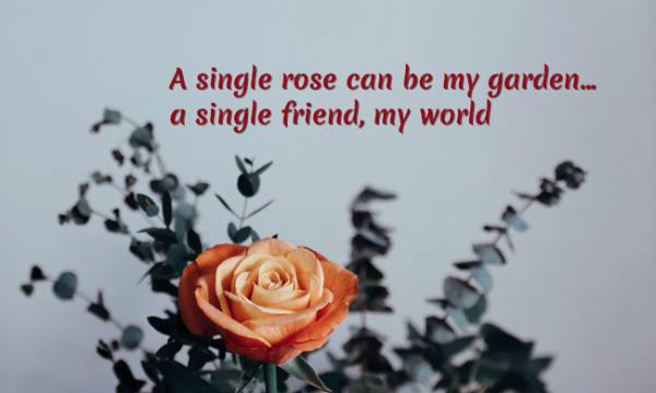 Rose day image with name