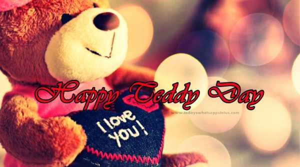 Teddy day hd images