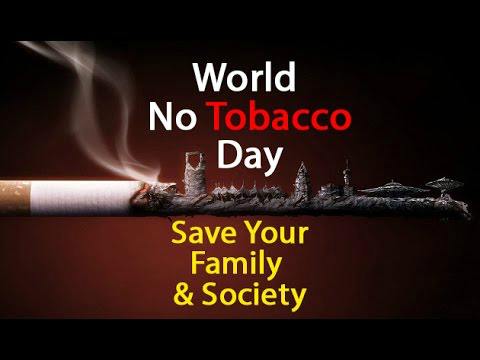 anti tobacco day essay in hindi