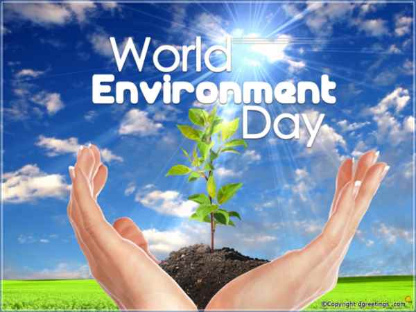 विश्व पर्यावरण दिवस पर निबंध