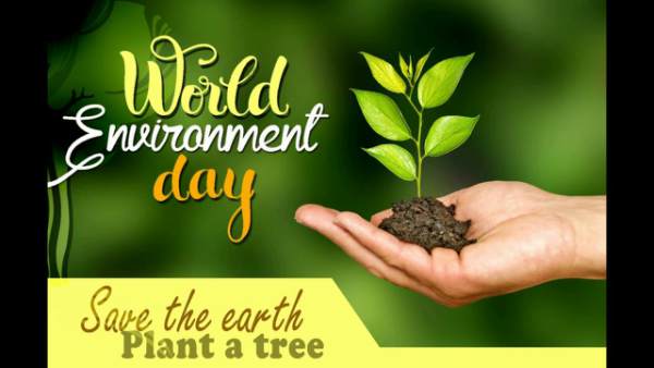 विश्व पर्यावरण दिवस स्लोगन