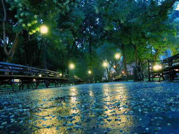 Rainy Seasons Images