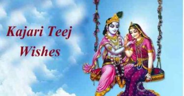 Happy Teej Wishes in Hindi