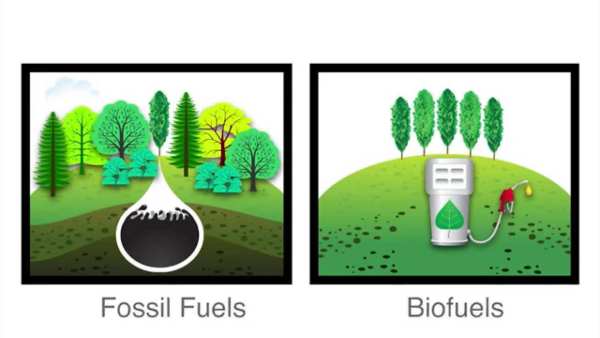 International Biodiesel Day speech in Hindi