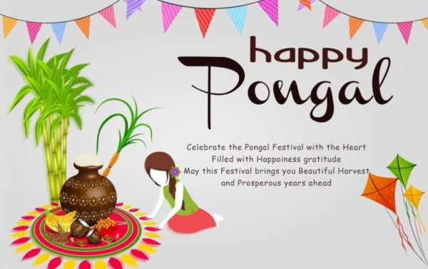 Pongal wishes messages