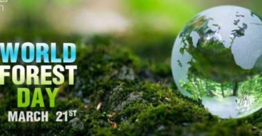 World forestry Day Image