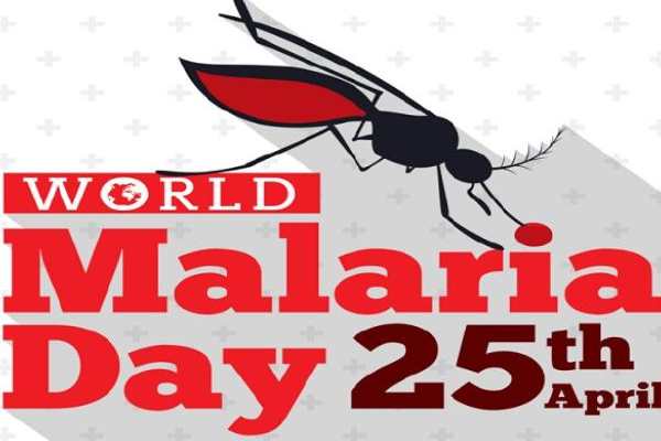 World Malaria Day Quotes