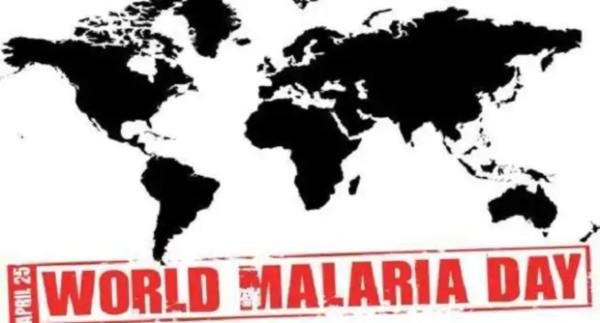 Essay on malaria