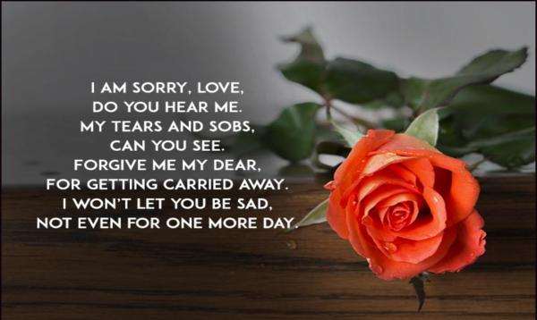 Sorry Image Sorry Images Pics Posters Photos Hd Wallpapers For Whatsapp Facebook