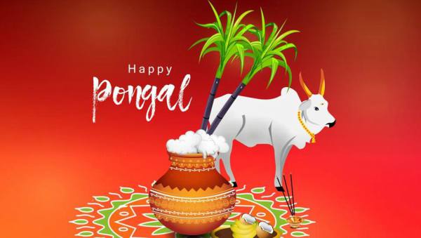  Pongal  2020 festival date