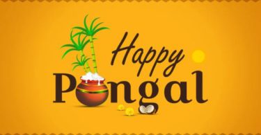 information about pongal in hindi