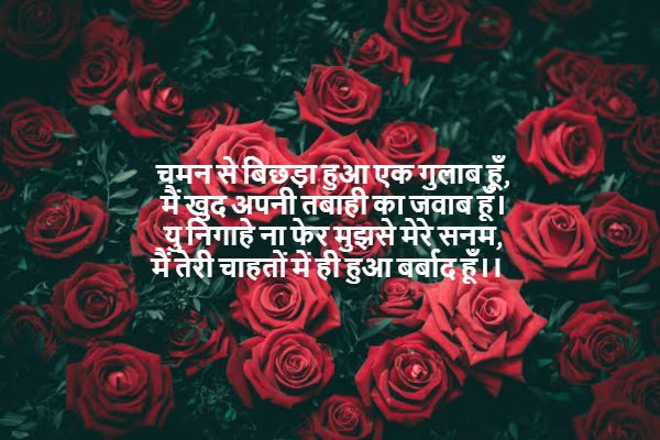 rose day wishes 2