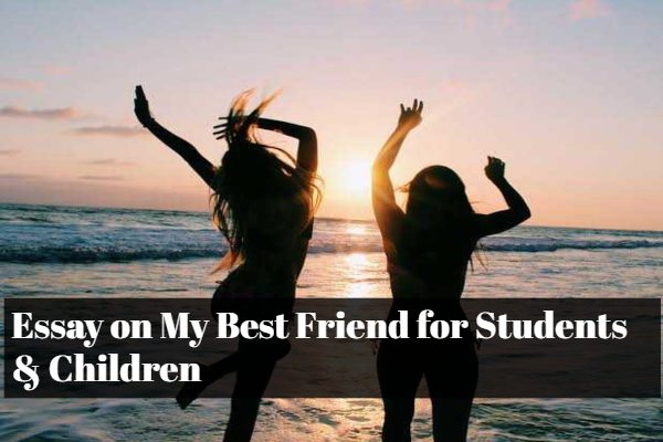 Student essay on friendship