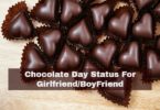 चॉकलेट डे स्टैटस गर्लफ्रेंड बॉयफ्रेंड इमेज
