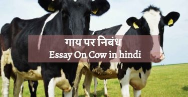 cow essay in hindi