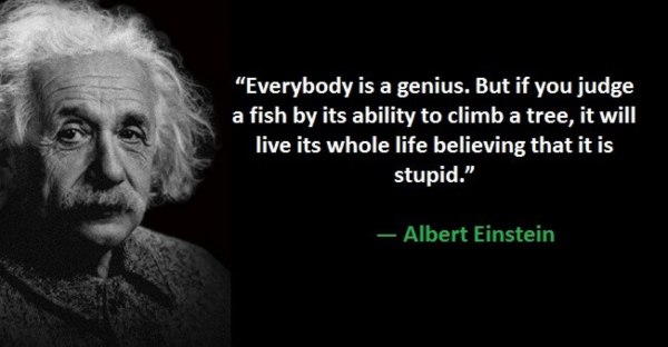 Albert Einstein Quotes in Hindi