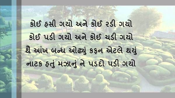 Gujarati Shayari on Love
