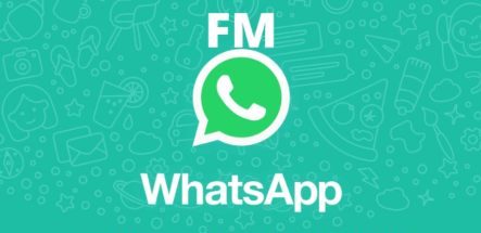 Fm whatsapp latest version 2022 update 8.86