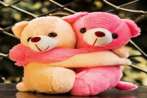 Teddy day gift for girlfrind