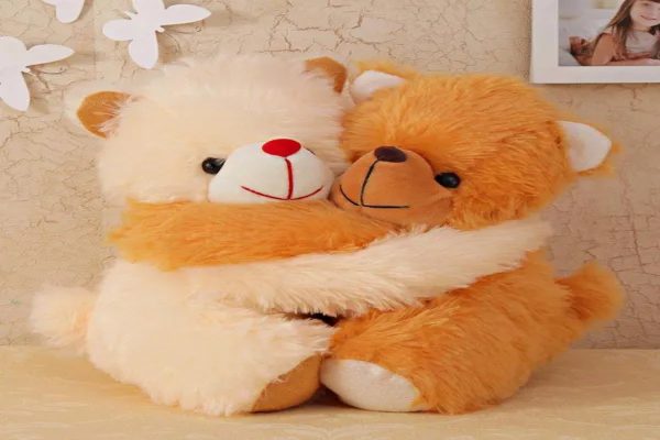 Teddy day gift images