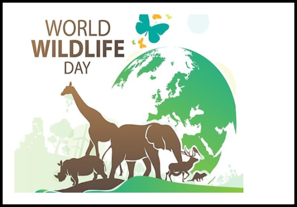 Happy World Wildlife day images