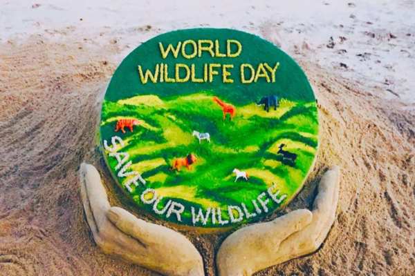 World Wildlife Conservation Day images