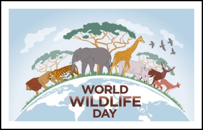 World Wildlife Day Photos