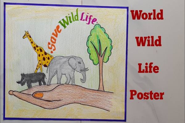World Wildlife Day drawing
