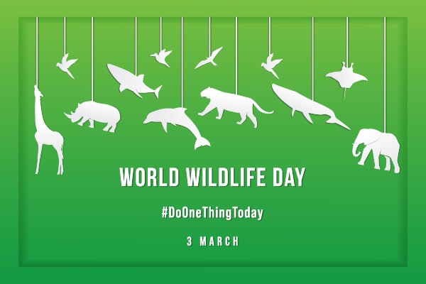 World Wildlife day posters