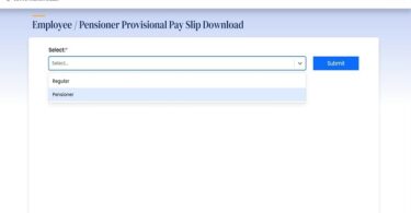 ap employee pay slip download